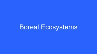 Boreal forest ecosystem forecasts featured image